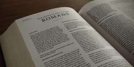 罗马书与工作