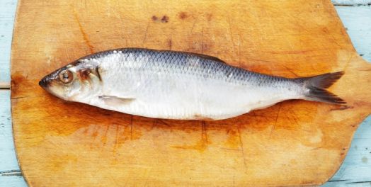 神的供应（路加福音9:10-17；12:4-7；12:22-31）