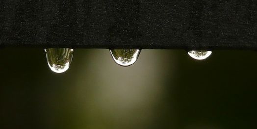 神的律法及其应用（申4:44–30:20）