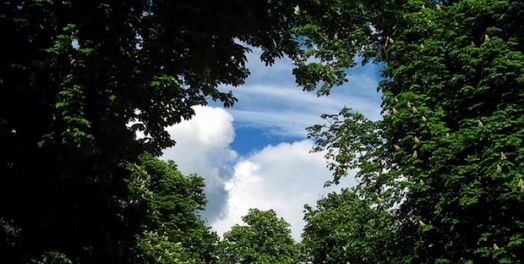 “当记念安息日，守为圣日” （出20:8-11; 申5:12）