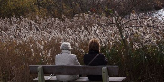 “当孝敬父母”（出20:12; 申5:16）