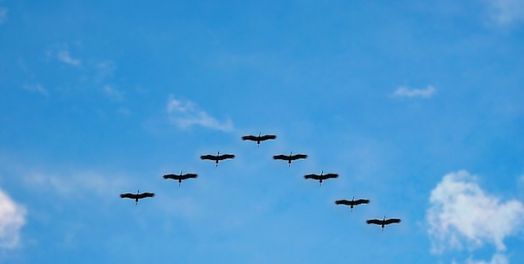 摩西工作的结束（申31:1-34:12）