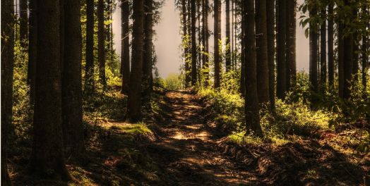 人生而需要休息：得以与上帝充满喜乐的心灵相通