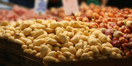 金融财经是什么