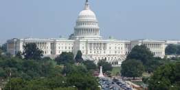 我该如何参与政治？