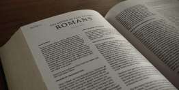 罗马书与工作