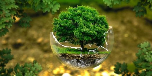 「好」是什么？