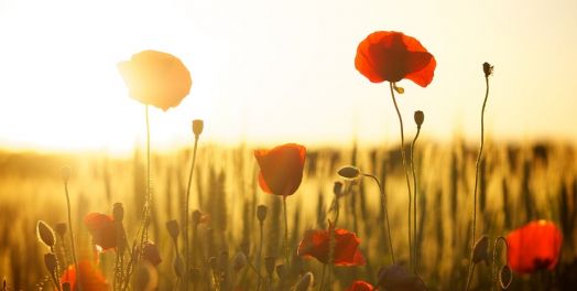 好在什么情况？