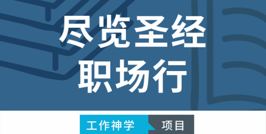 12. 工作中的问责制，透明度和诚信