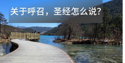 4. 直接且明确的呼召从事特定工作