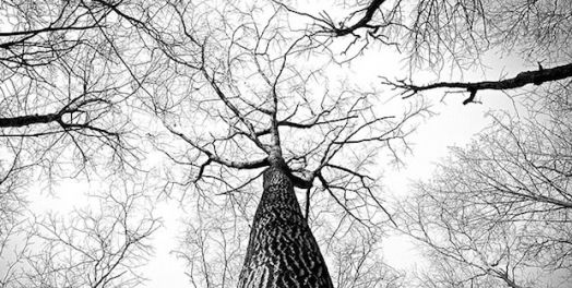 渴望我们自己的肉体和神一切所造的得赎（罗马书8:18-30）