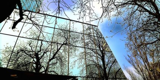 没有什么可以使我们与神的爱隔绝（罗马书8:31-39）