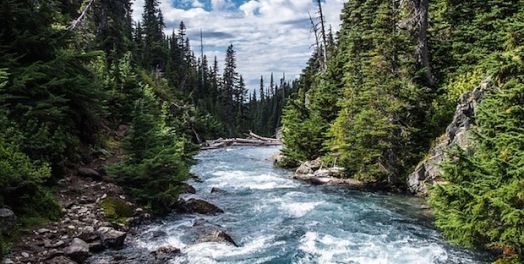 工作中的个人诚信（诗1）