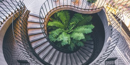 与神同在的创造力（诗篇104）