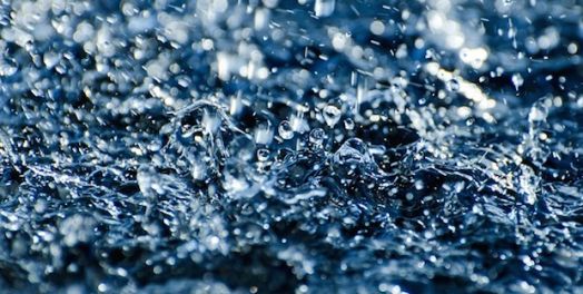 先知以利沙看重日常工作（王下2-6）