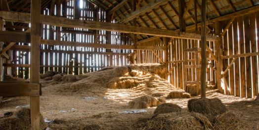 弥赛亚耶稣（太1-2）