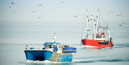 天国的比喻（太13）