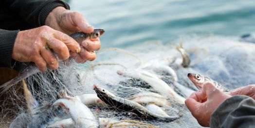 上帝国度和门徒训练（马可福音1-4, 6, 8）