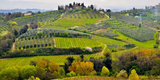 在日常生活中见证神国度的有使命身分（使徒行传2:1-41）