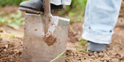 在教会和工作中的地位：卑微的朋友（林前 1:18-31）