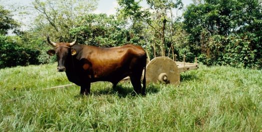 各人得自己公平的份额（林前9:7-10）