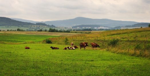 上帝的荣耀是至终的目标（林前10章）