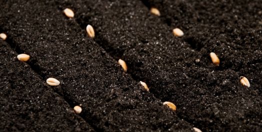 再怎么给神都不过分（林后9）