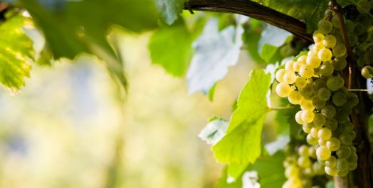 巴比伦和新耶路撒冷：双城记（启17-22章）