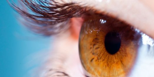 古代与当代的奴隶与主人（歌罗西书3:18-4:1）