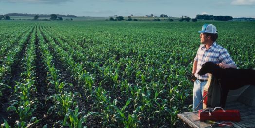 歌罗西书和腓利门书的主要经文和主题