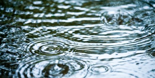 等待收获（雅各书5:7-20）