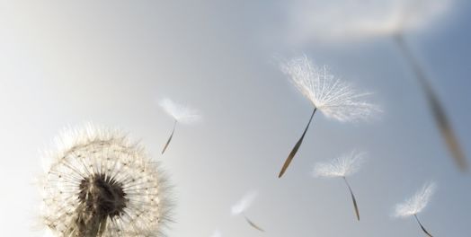 工作是捕风（传1:12-6:9）