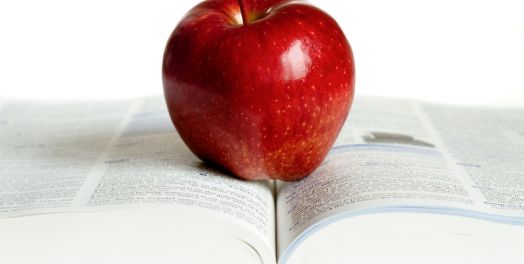 智慧（传2:12-17）