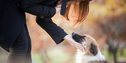 友谊（传4:7-4:16）