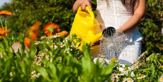 苦难与工作之美（雅歌1:1-8）