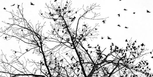 相信上帝的供应（耶利米书8 - 16章）