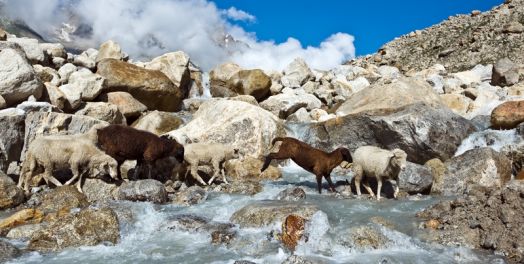 以西结书第34章