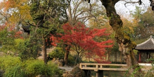 但以理书的主要经文和主题