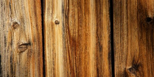 与拜偶像相关的工作（哈巴谷书2:1-20；西番雅书1:14-18）