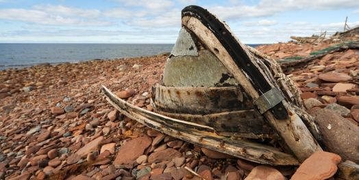 上帝关心那些回应祂呼召的人（拿1:3，12-14，17；2:10；4:3-8）