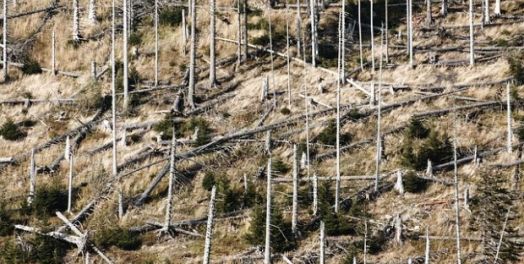 摩西和亚伦宣告神对法老的审判（出埃及记7:1-12:51）