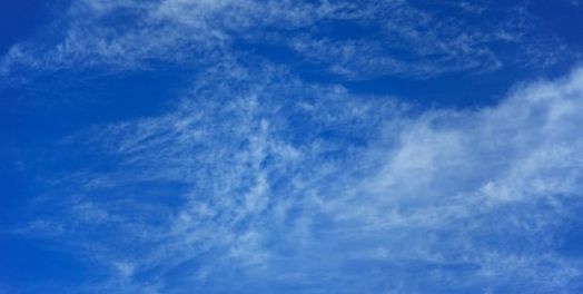 出埃及记的结论