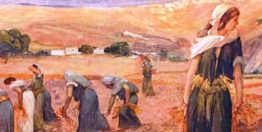 神的律法呼召富有的百姓给穷人提供经济机会（路得记2:17-23）