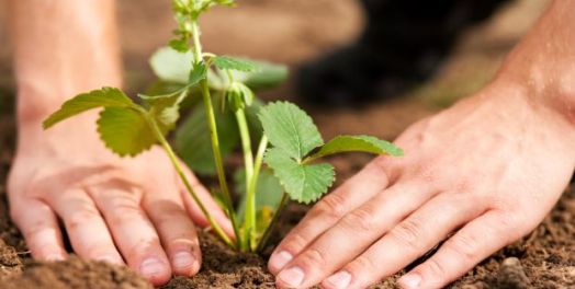 管理（创1:26; 2:5）