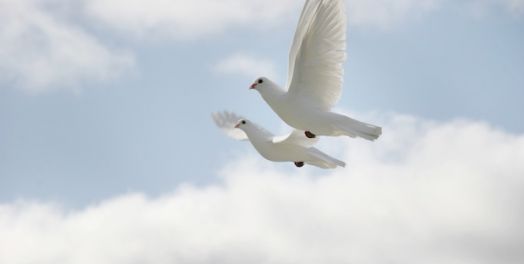 创世记一至十一章的结论