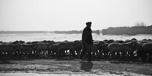 亚伯拉罕和他家庭的牧羊生活（创12:4-7）